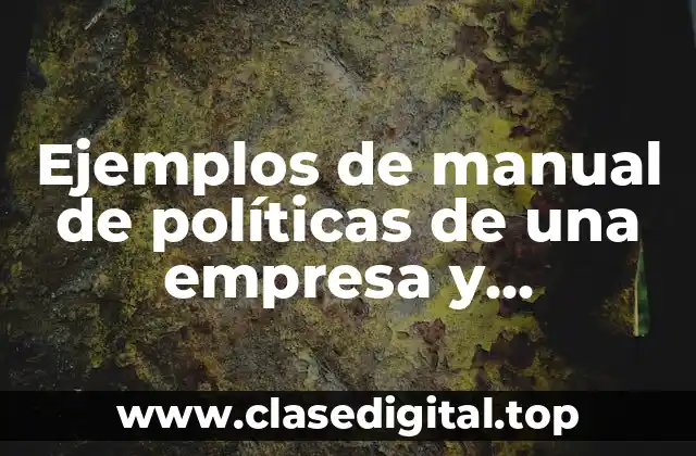 Ejemplos de manual de políticas de una empresa y Significado