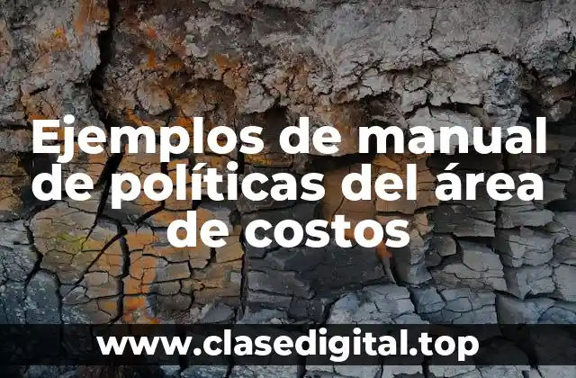 Ejemplos de manual de políticas del área de costos