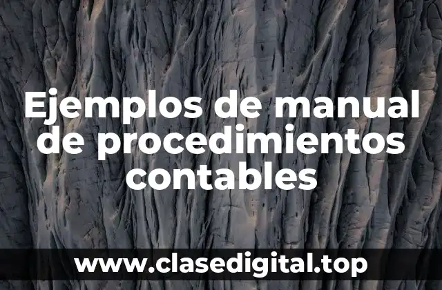 Ejemplos de manual de procedimientos contables