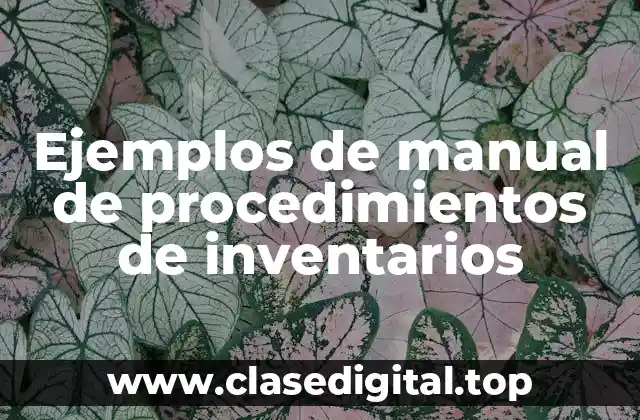 Ejemplos de manual de procedimientos de inventarios