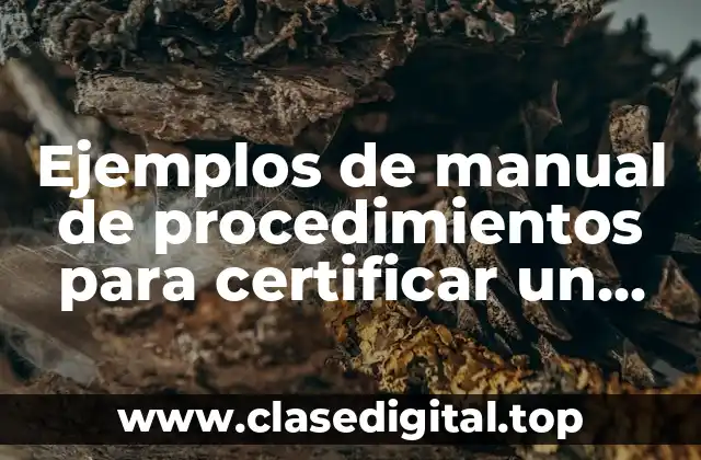 Ejemplos de manual de procedimientos para certificar un hospital
