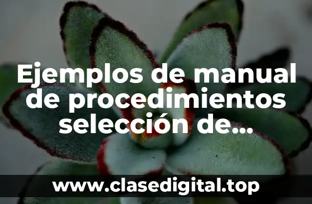 Ejemplos de manual de procedimientos selección de personal