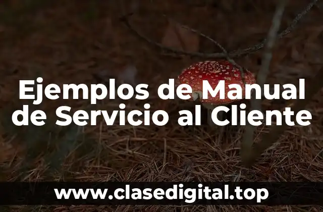 Ejemplos de Manual de Servicio al Cliente