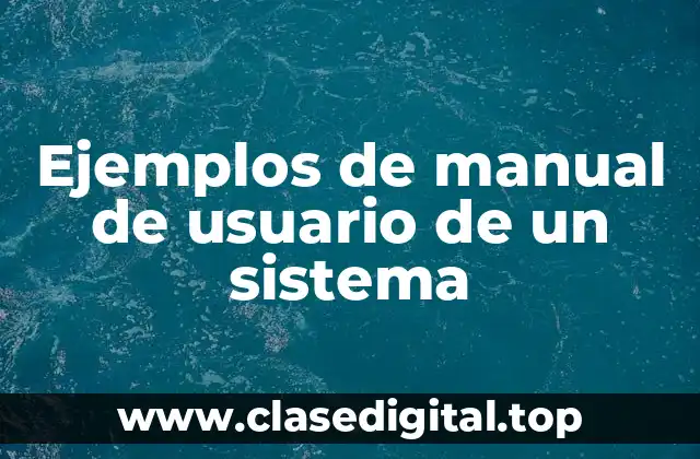 Ejemplos de manuales de usuario de sistemas