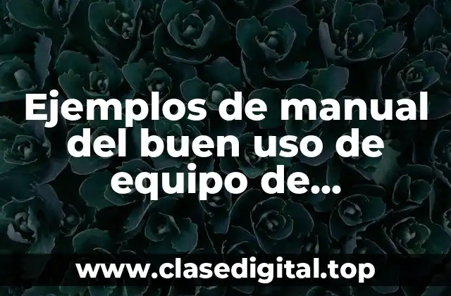 Ejemplos de manual del buen uso de equipo de informática