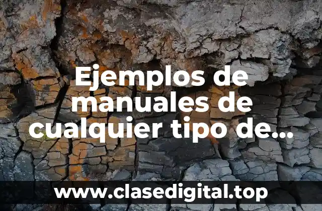 Ejemplos de manuales de cualquier tipo de organización