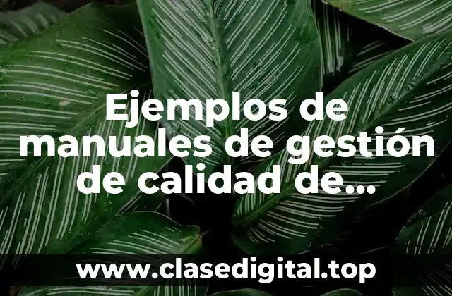 Ejemplos de manuales de gestión de calidad de empresas