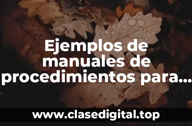 Ejemplos de manuales de procedimientos para el área de publicidad