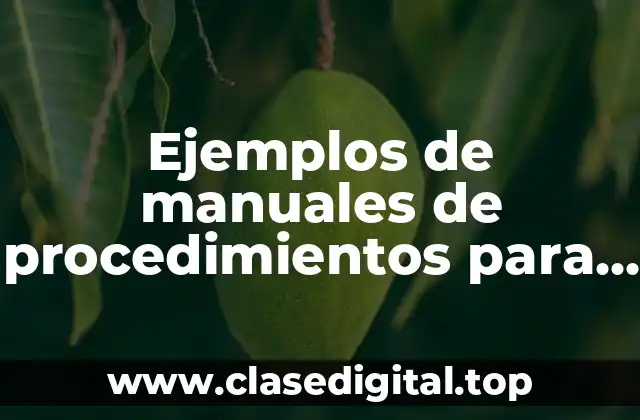 Ejemplos de manuales de procedimientos para instalación de antenas