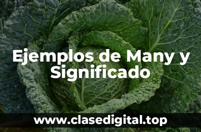 Ejemplos de Many y Significado