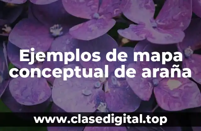 Ejemplos de mapa conceptual de araña