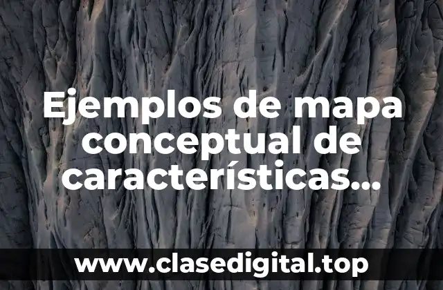 Ejemplos de mapa conceptual de características culturales en salud