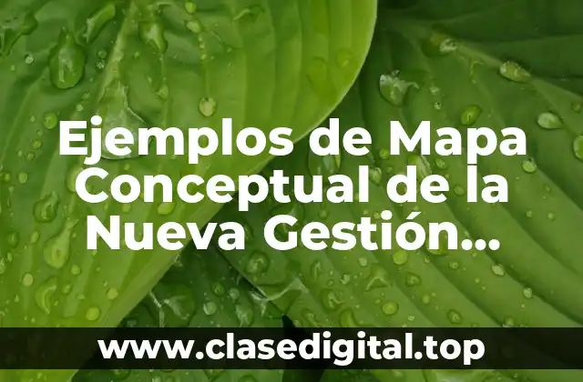 Ejemplos de Mapa Conceptual de la Nueva Gestión Pública