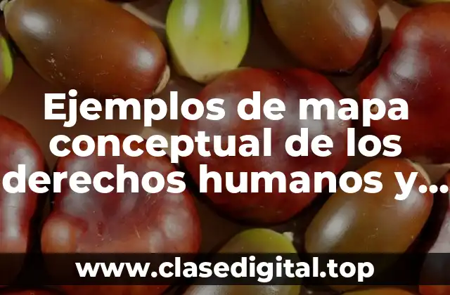 Ejemplos de mapa conceptual de los derechos humanos