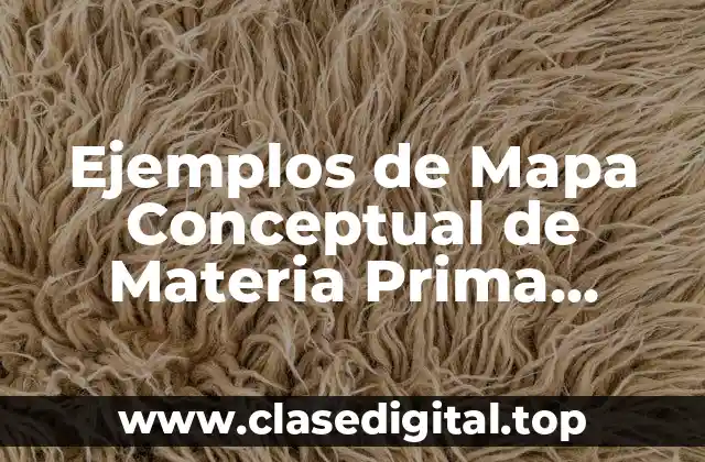 Ejemplos de Mapa Conceptual de Materia Prima, Control y Clasificación