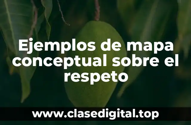 Ejemplos de mapa conceptual sobre el respeto