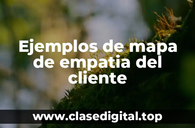 Ejemplos de mapa de empatia del cliente