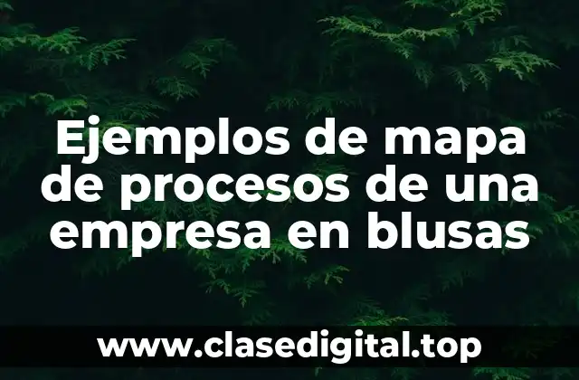 Ejemplos de mapa de procesos de una empresa en blusas