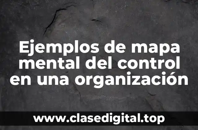 Ejemplos de mapa mental del control en una organización