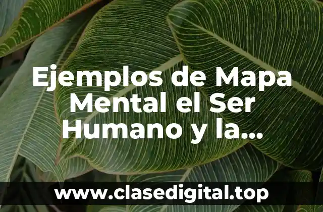 Ejemplos de Mapa Mental el Ser Humano y la Autoestima