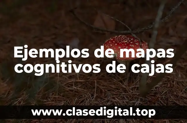 Ejemplos de mapas cognitivos de cajas