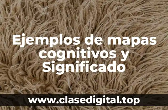 Ejemplos de mapas cognitivos y Significado