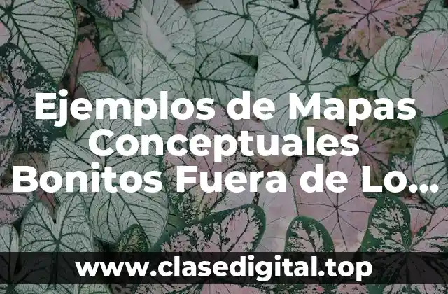 Ejemplos de Mapas Conceptuales Bonitos Fuera de Lo Común