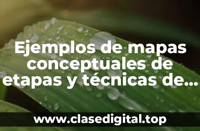 Ejemplos de mapas conceptuales de etapas y técnicas de organización