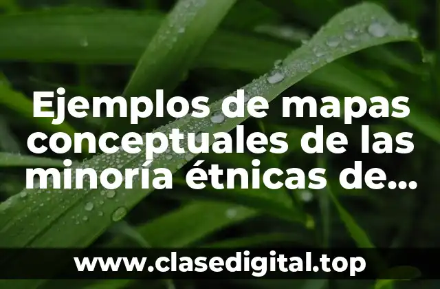 Ejemplos de mapas conceptuales de las minoría étnicas de México y Significado
