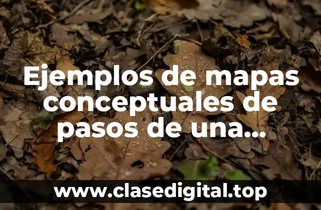 Ejemplos de mapas conceptuales de pasos de una investigación