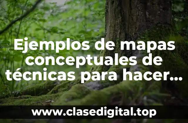 Ejemplos de mapas conceptuales de técnicas para hacer apuntes