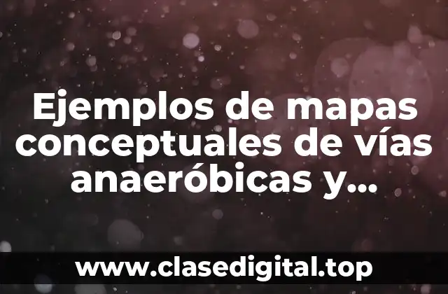 Ejemplos de mapas conceptuales de vías anaeróbicas y aeróbicas y Significado