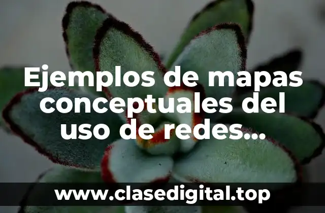 Ejemplos de mapas conceptuales del uso de redes sociales