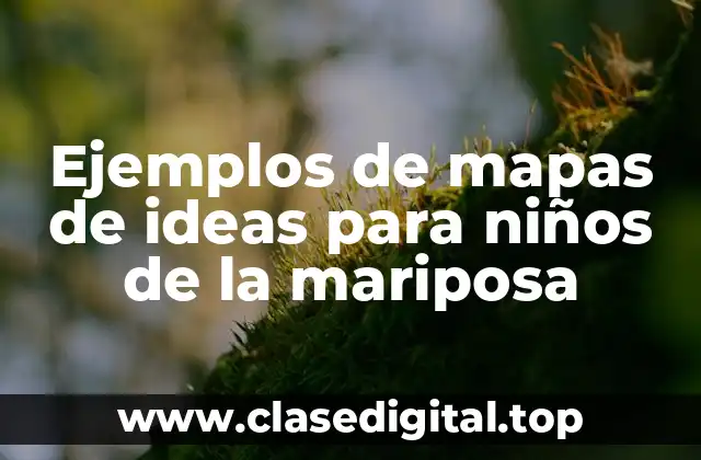 Ejemplos de mapas de ideas para niños de la mariposa