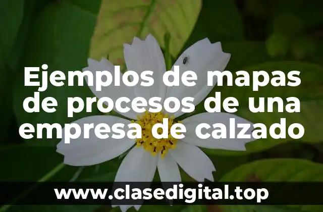 Ejemplos de mapas de procesos de una empresa de calzado