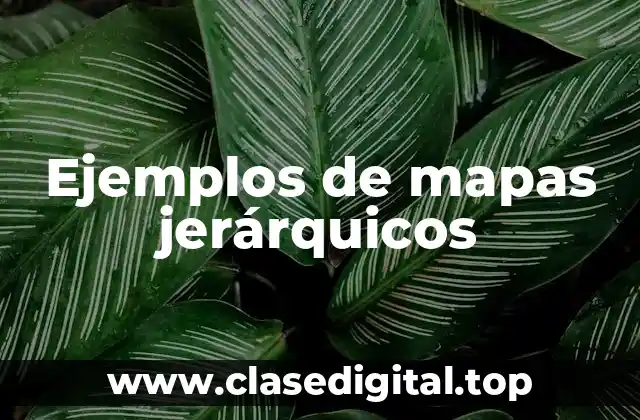 Ejemplos de mapas jerárquicos