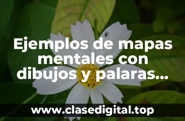 Ejemplos de mapas mentales con dibujos y palabras clave