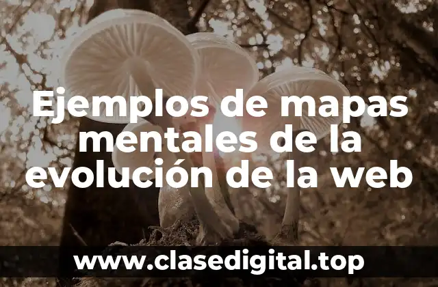Ejemplos de mapas mentales de la evolución de la web