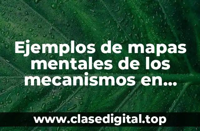 Ejemplos de mapas mentales de los mecanismos en economía