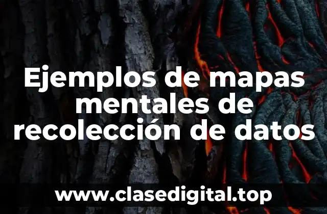 Ejemplos de mapas mentales de recolección de datos