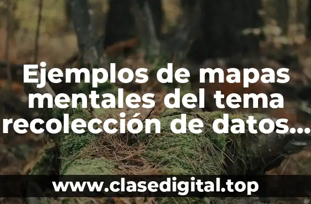 Ejemplos de mapas mentales del tema recolección de datos estadísticas
