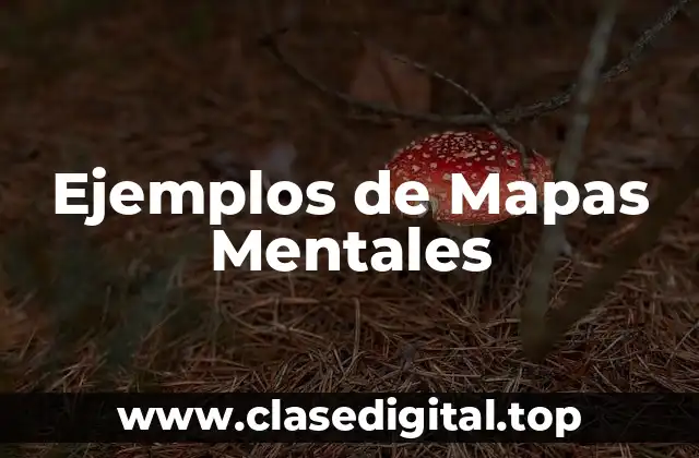 Ejemplos de Mapas Mentales
