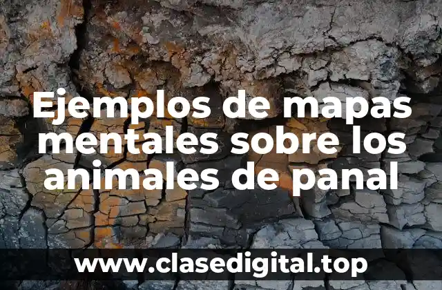 Ejemplos de mapas mentales sobre los animales de panal