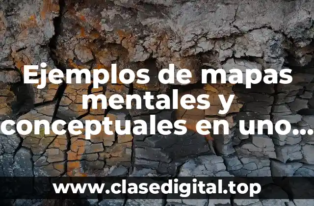 Ejemplos de mapas mentales y conceptuales en uno solo