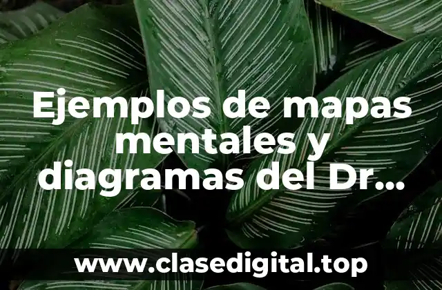 Ejemplos de mapas mentales y diagramas del Dr. García Aretio