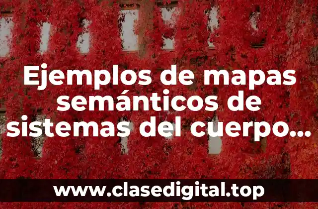 Ejemplos de mapas semánticos de sistemas del cuerpo humano