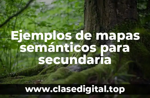 Ejemplos de mapas semánticos para secundaria