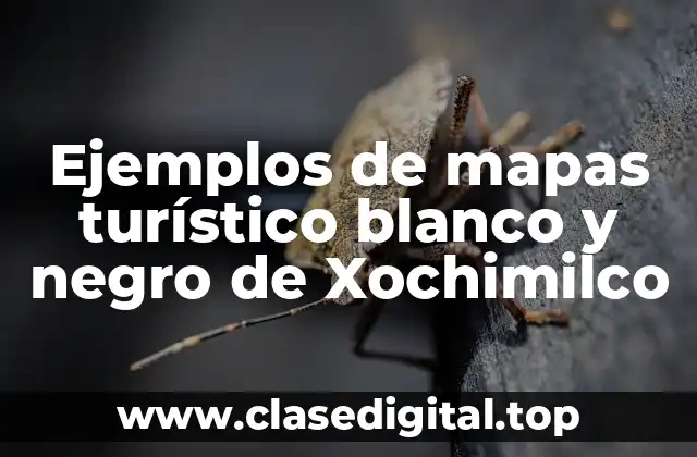 Ejemplos de mapas turístico blanco y negro de Xochimilco