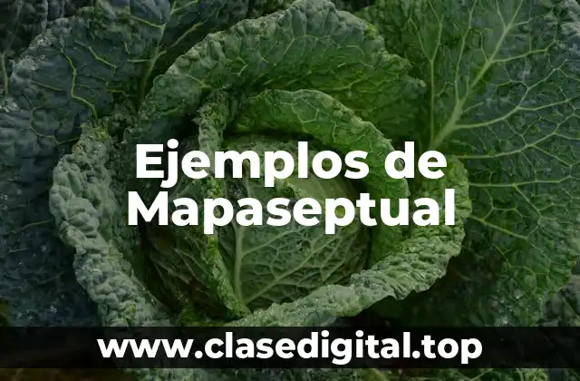 Ejemplos de Mapaseptual