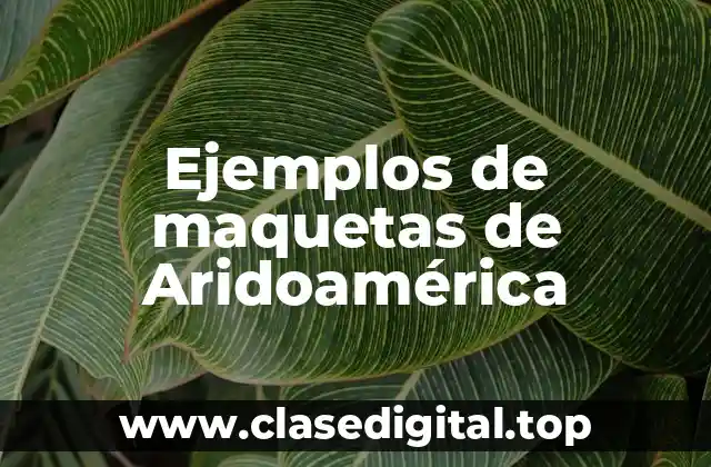Ejemplos de maquetas de Aridoamérica